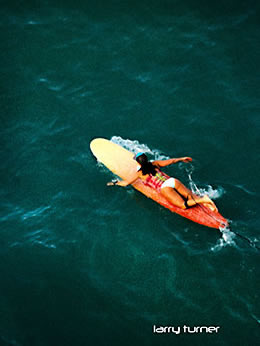 Hawaii surf's up