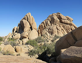 Joshua Tree trails