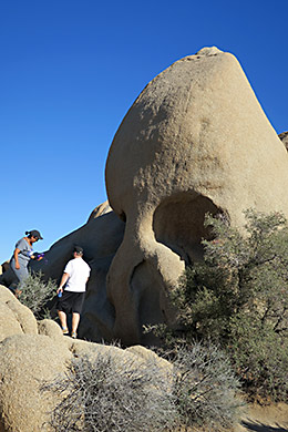 Joshua Tree spooky skull rock