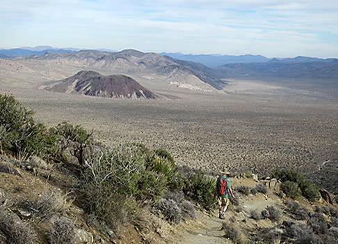 Joshua Tree, Steve heads out