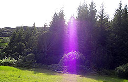 Elf Guardian Hellisgerdi Park Iceland