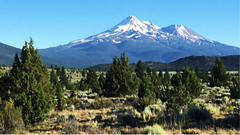 Mount Shasta