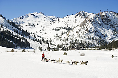 Dog sledding, Squaw Valley, CA