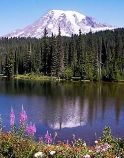 Mt. Rainier