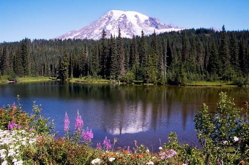 Mt. Rainier