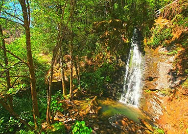 Rogue River waterfall