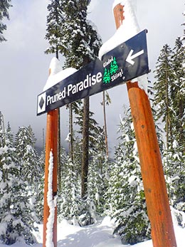 Whistler black diamond sign