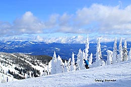 Schweitzer scenic