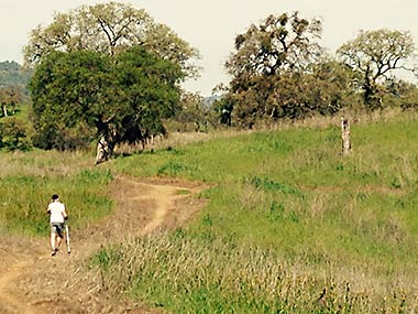 Calaveras hikers