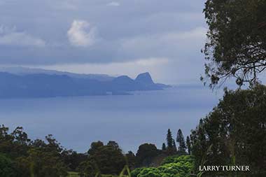 Road to Makawao Coffee Farm view