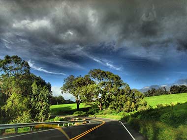 Hawaii Maui Upcountry biking