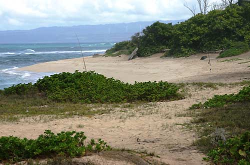 Oahu Mokuleia Beach Park