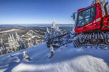 Sun Peaks cat groomer at work