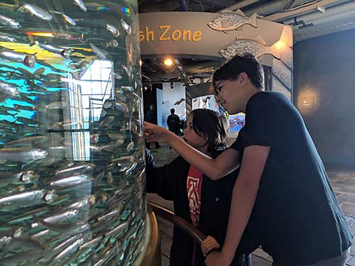 Erysse and Iden at the Monterey Aquarium in Monterey, Calif.