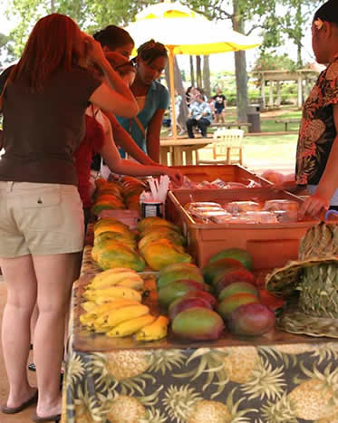 Oahu flea market