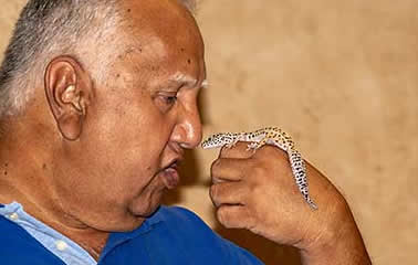 White Stallion Ranch nose to nose with gecko