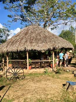 A thatched roof protects a sugar mill's press