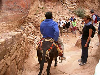 Petra, climbing to the monastery