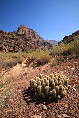 Grand Canyon rafting 2019