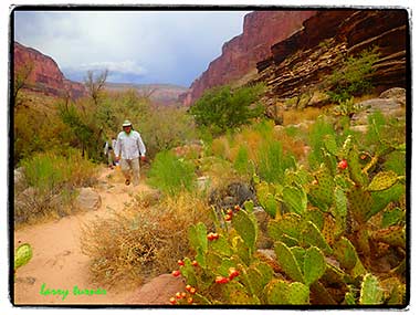 Grand Canyon rafting 2019