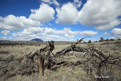 Lava Beds