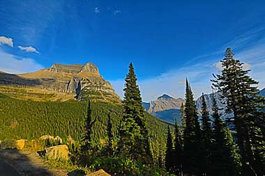 Montana mountain and forest