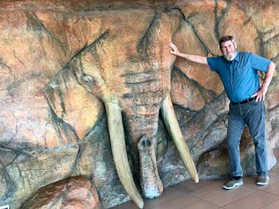 Capetown elephant wall at airport