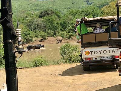 South Africa Hluhluwe Umfolozi Game Reserve water-buffalo-move-for-rhinoceroses