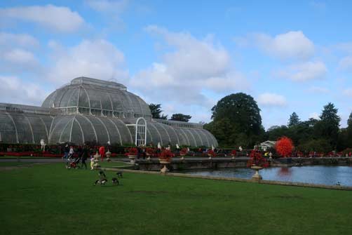 Kew Gardens Palm House