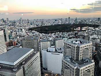 Meiji Shrine and Yoyogi Park in Tokyo’s Shibuya neighborhood