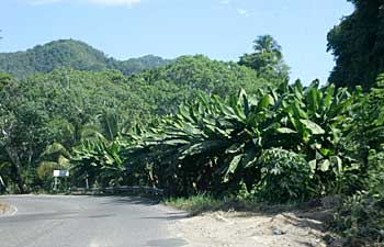 Sierra Madre Mountains south of Puerto Vallarta