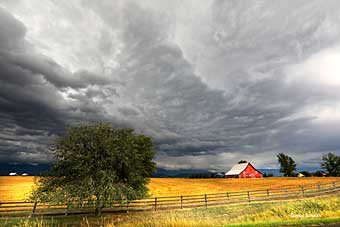 Montana autumn