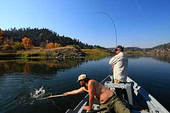 Montana rivers to run