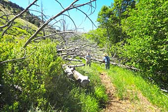 Kiger Gorge Oregon