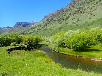 Steens Mountain 4-wheeling