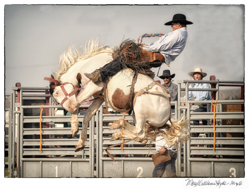 Will James Roundup Hardin Montana