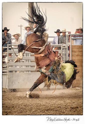 Will James Roundup Hardin Montana