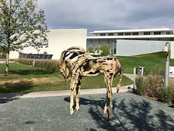 The sculpture “Milk River” looks like drift wood but is bronze.