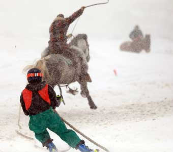 Skijoring Flathead Valley, Montana