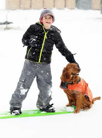 Skijoring in the Flathead Valley, Montana