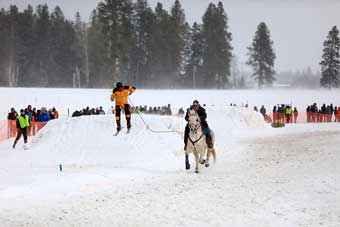 Skijoring in the Flathead Valley, Montana