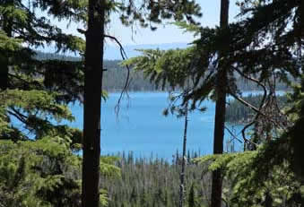 Looking back at Miller Lake