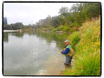 Gore, New Zealand, brown trout capital