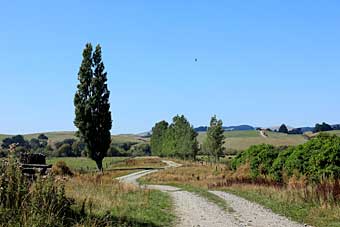 Gore, New Zealand, brown trout capital