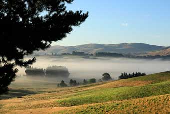 New Zealand country roads