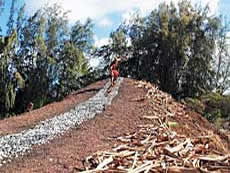 Hawaiian land sled riding upright