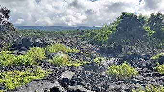 Hawaiian land sledding route