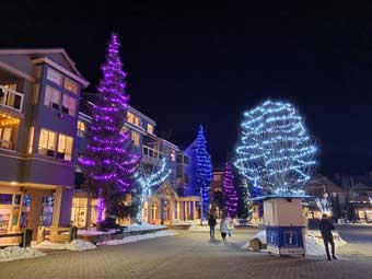 Whistler lighted trees