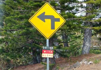 Hawaiian drive with aloha road sign